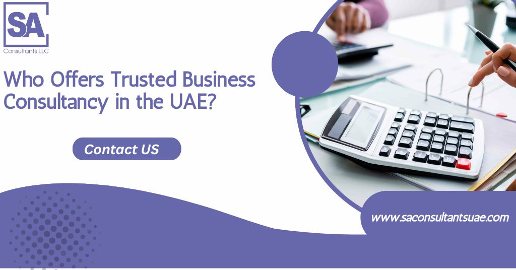Group of professional business consultants in UAE